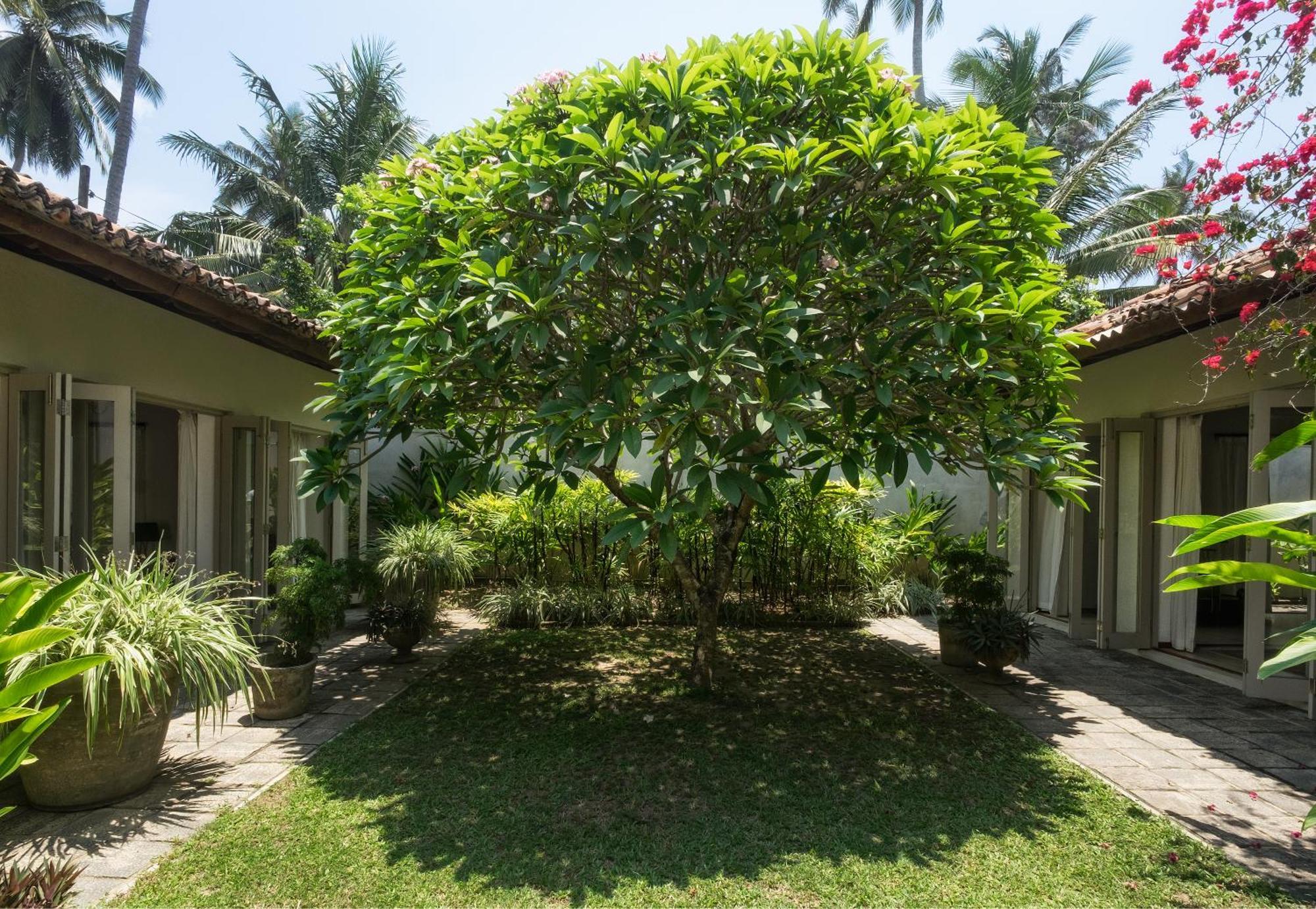 Hotel Elysium Unawatuna Exterior foto